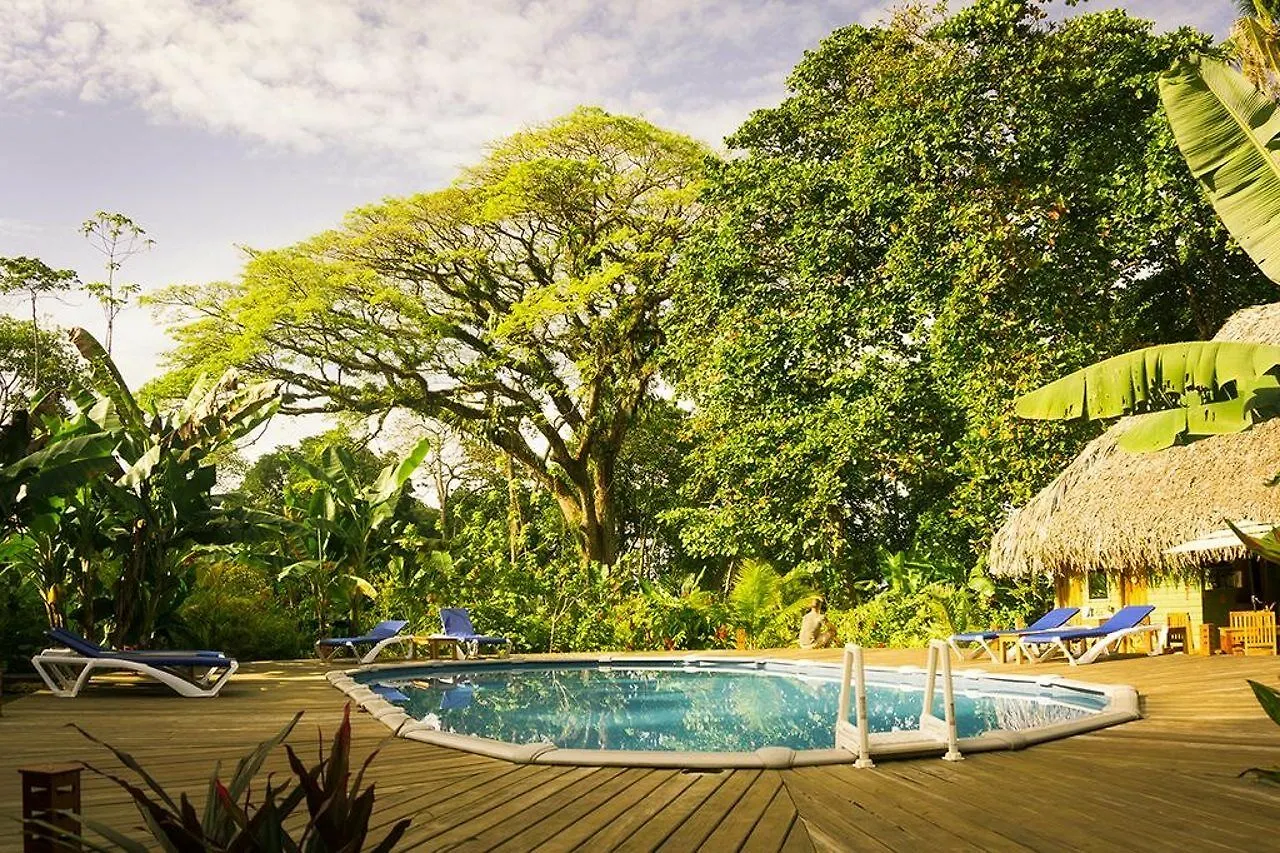 Hotel The Royal Hummingbird Resort Negril